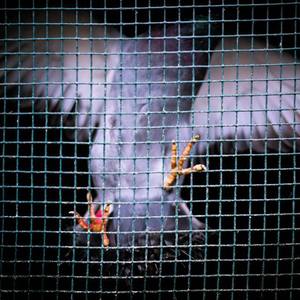 精品国产成人a在线观看
